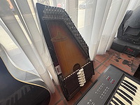 Muziek instrumenten - various string instruments (6x) - afbeelding 2 van  10