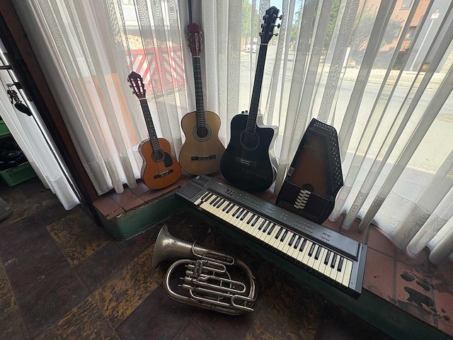 Muziek instrumenten - various string instruments (6x) - afbeelding 1 van  10