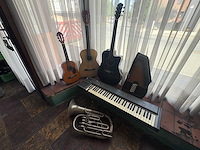 Muziek instrumenten - various string instruments (6x) - afbeelding 1 van  10