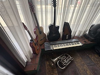 Muziek instrumenten - various string instruments (6x) - afbeelding 3 van  10