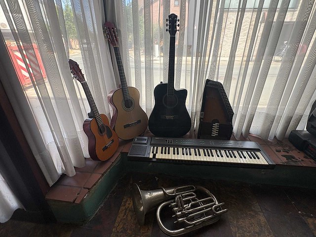 Muziek instrumenten - various string instruments (6x) - afbeelding 4 van  10