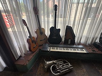 Muziek instrumenten - various string instruments (6x) - afbeelding 4 van  10