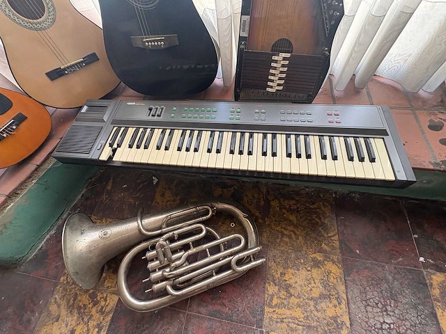 Muziek instrumenten - various string instruments (6x) - afbeelding 5 van  10