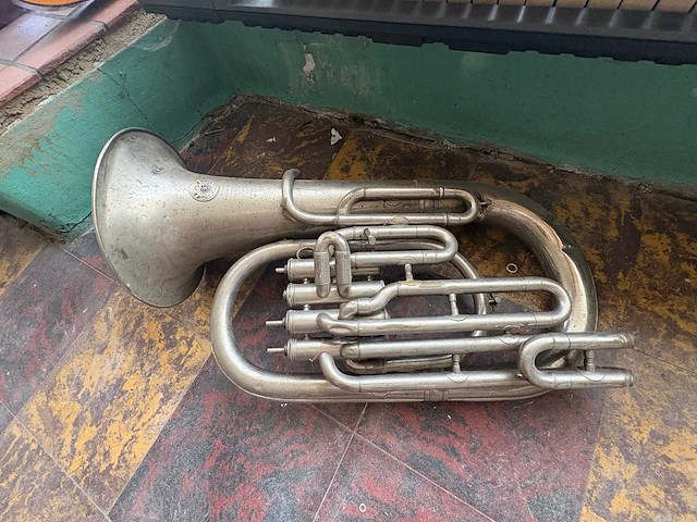 Muziek instrumenten - various string instruments (6x) - afbeelding 6 van  10
