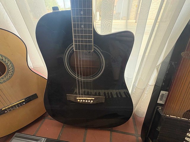 Muziek instrumenten - various string instruments (6x) - afbeelding 8 van  10