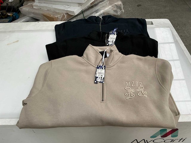 Mz72 diverse ziptop sweaters heren (13x) - afbeelding 1 van  5