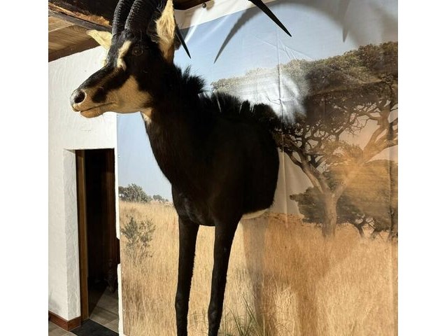 Nalatenschap - waltwilder