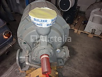 Nash cl 2002 ss grote capaciteit vloeistofring vacuümpomp - afbeelding 2 van  6