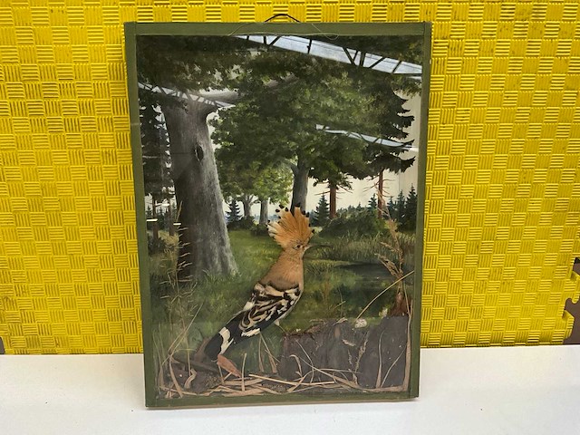 Natuurillustratie ‘hop’ - afbeelding 1 van  5