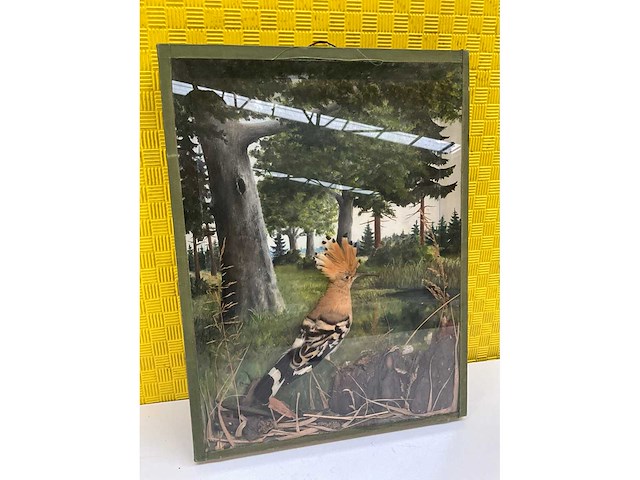 Natuurillustratie ‘hop’ - afbeelding 2 van  5