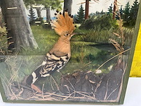 Natuurillustratie ‘hop’ - afbeelding 3 van  5