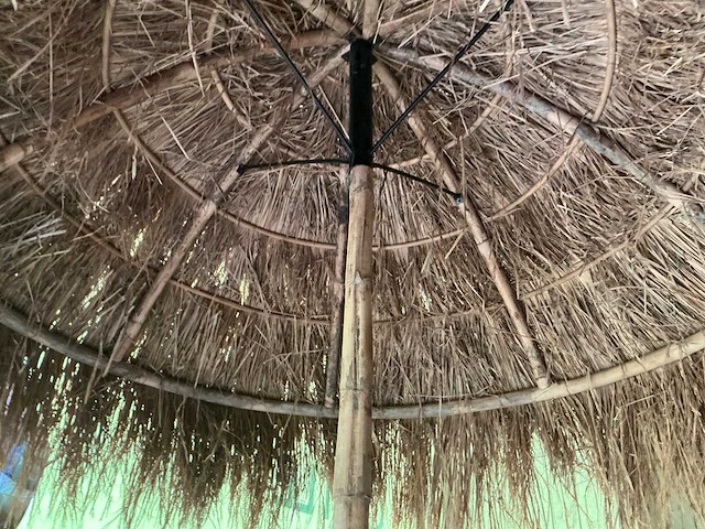 Natuurlijke parasol - afbeelding 3 van  3