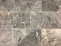 Natuursteen blauwe hardsteen 30x3xvrije lengte cm tegel 64,8 m² - afbeelding 1 van  1
