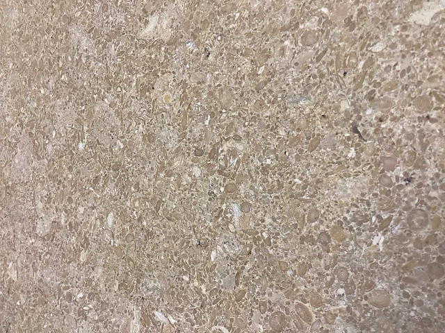 Natuursteen limestone beige 40,6x61 cm tegel 42 m² - afbeelding 10 van  17