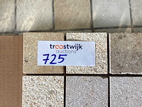 Natuursteen limestone beige mix 5x5 cm mozaïektegel 30x30 cm 50 stuks - afbeelding 1 van  7