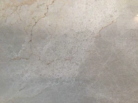 Natuursteen marmer beige gepolijst tegel 60x60x2 cm 54 m² - afbeelding 2 van  7