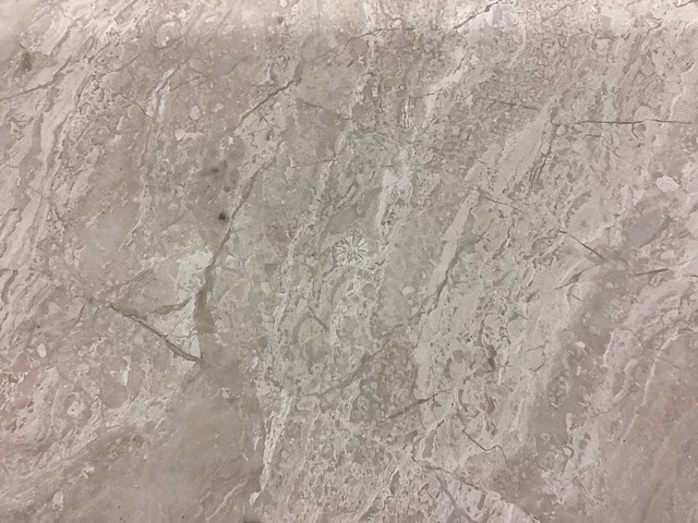 Natuursteen marmer beige gezoet 30,5x61 cm tegel 65,12 m² - afbeelding 12 van  14