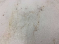 Natuursteen marmer wit calacatta cottage vloertegel 40,6x61 cm 61 m² - afbeelding 6 van  18