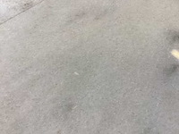 Natuursteen marmer wit gepolijst 15,2x30 cm tegel 30 m² - afbeelding 5 van  15