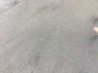 Natuursteen marmer wit gepolijst 15,2x30 cm tegel 33 m² - afbeelding 6 van  16