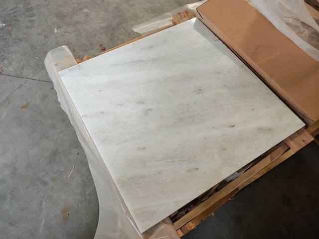 Natuursteen marmer wit gepolijst 61x61x1,5 cm tegels 15,63 m² - afbeelding 5 van  7