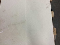 Natuursteen marmer wit honed vloertegel 30,5x61 cm 66 m² - afbeelding 11 van  16
