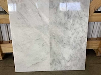 Natuursteen marmer wit/grijs gepolijst 30,5x61 cm tegel 60 m² - afbeelding 9 van  16