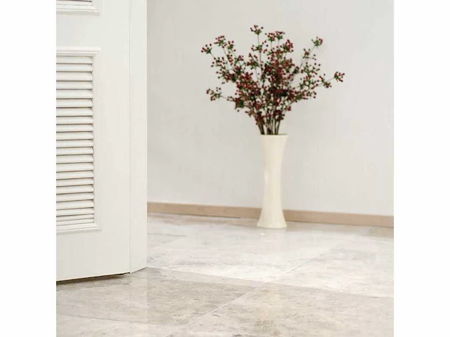 Natuursteen marmer zilver gepolijst 30x60x2 cm tegel 37,44 m² - afbeelding 6 van  11