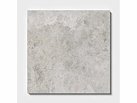 Natuursteen marmer zilver gepolijst 30x60x2 cm tegel 37,44 m² - afbeelding 4 van  11