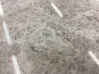 Natuursteen marmer zilver gepolijst vloertegel 30,5x61 cm 26 m² - afbeelding 5 van  14