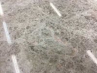 Natuursteen marmer zilver gepolijst vloertegel 30,5x61 cm 26 m² - afbeelding 2 van  2