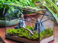 Ncyp huisvormig glazen terrarium - afbeelding 3 van  4