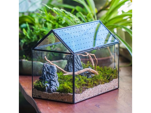 Ncyp huisvormig glazen terrarium - afbeelding 4 van  4