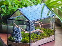 Ncyp huisvormig glazen terrarium - afbeelding 4 van  4