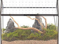 Ncyp huisvormig glazen terrarium - afbeelding 1 van  4