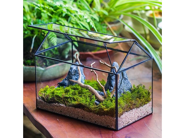Ncyp huisvormig glazen terrarium - afbeelding 3 van  4
