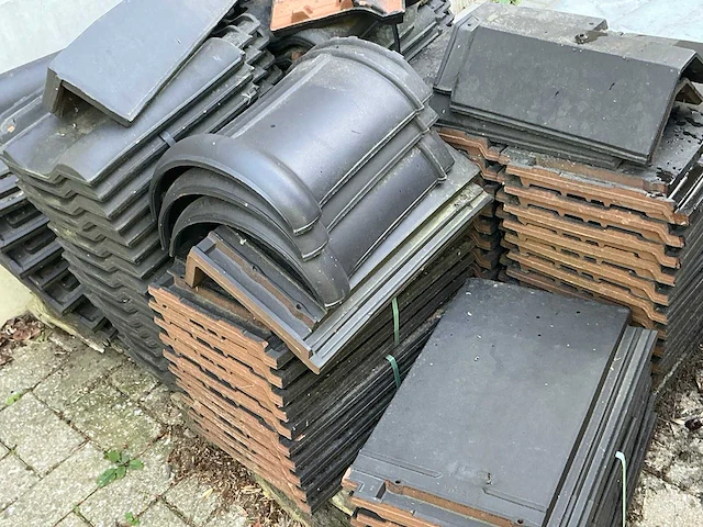 Nelskamp partij diverse dakpannen - afbeelding 6 van  6