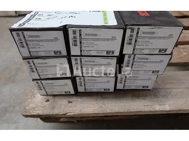 Neolife roestvrijstalen bekledingsschroeven sun ral 1011 - afbeelding 2 van  3