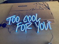 Neon verlichting hoagard - too cool for you (3st)
