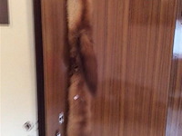 Nerts - afbeelding 1 van  3