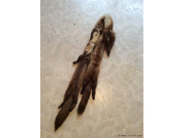 Nerts - afbeelding 2 van  3