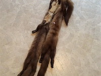 Nerts - afbeelding 2 van  3