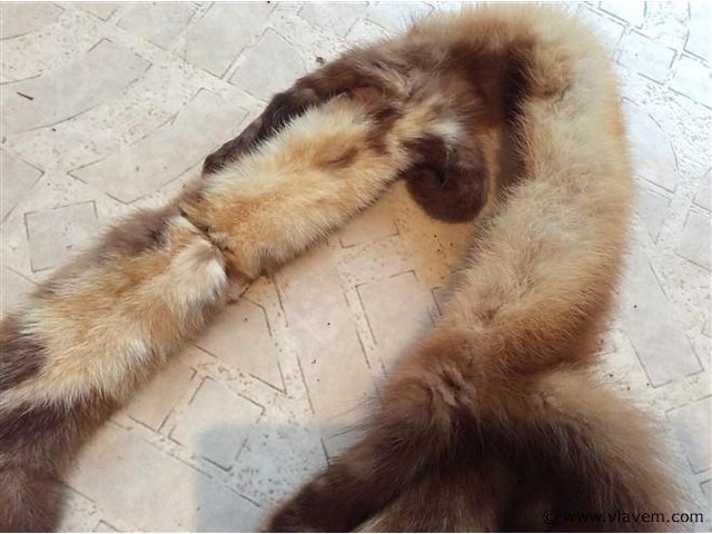 Nerts - afbeelding 3 van  3