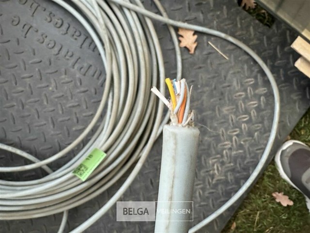 Netwerkkabel - afbeelding 4 van  6