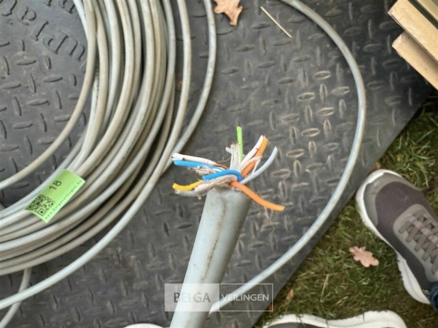 Netwerkkabel - afbeelding 5 van  6