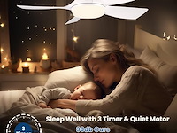 Newday plafondventilator (106 cm) - afbeelding 3 van  4