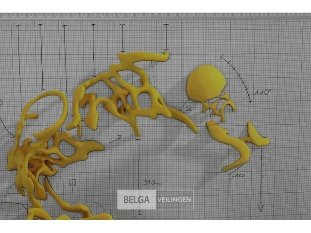 Nick ervinck - afbeelding 1 van  2