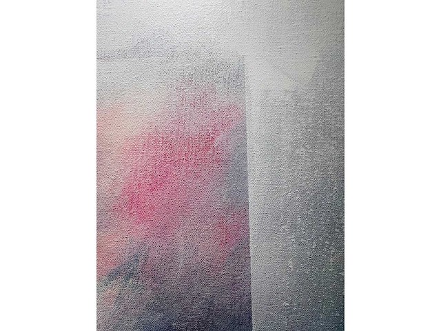 Nicolas yon - acryl op doek - groot werk - afbeelding 5 van  5