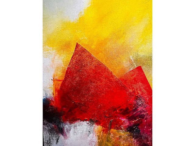 Nicolas yon - acryl op doek - groot werk - afbeelding 7 van  13