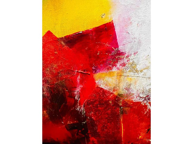 Nicolas yon - acryl op doek - groot werk - afbeelding 8 van  13